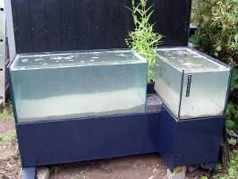 Project: outdoor notech tanks